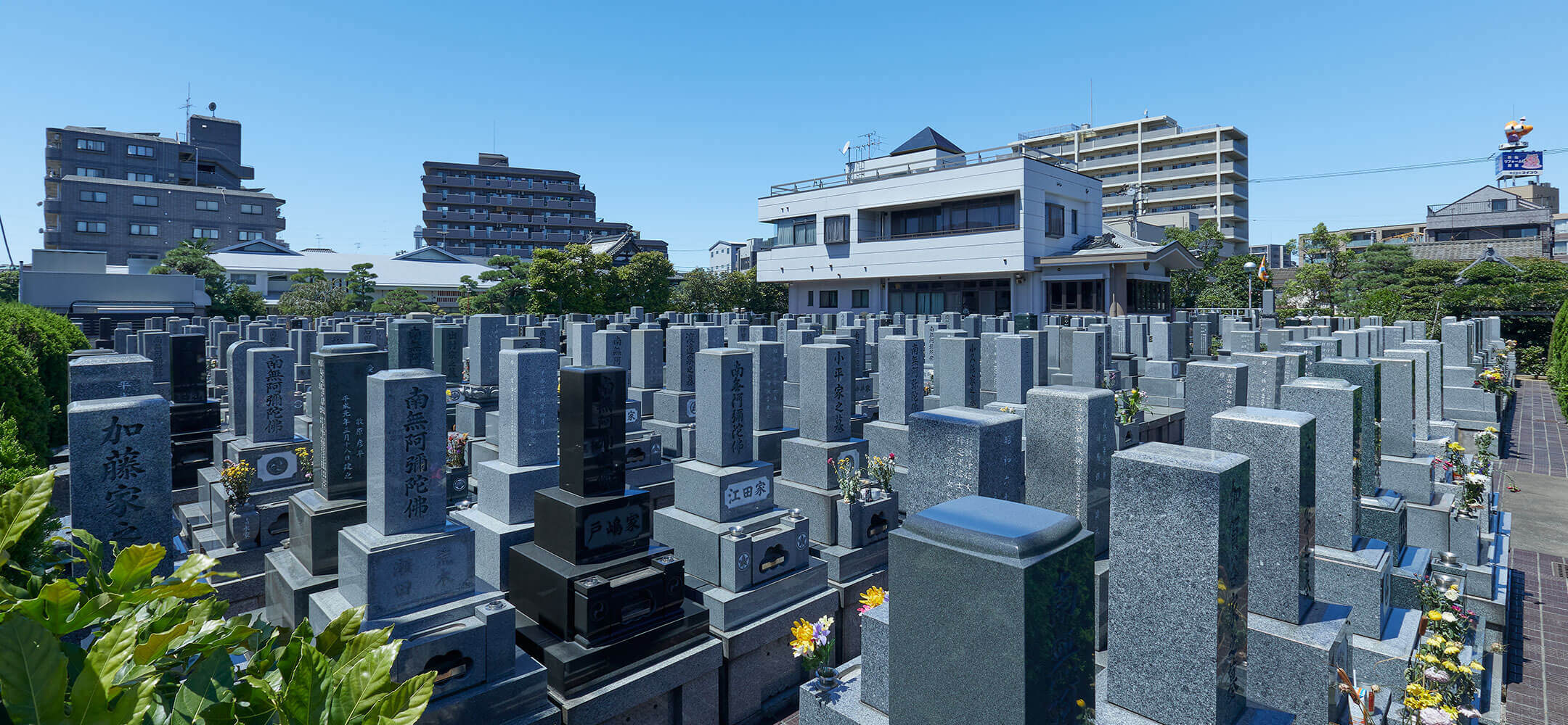 證大寺 江戸川本坊の霊園